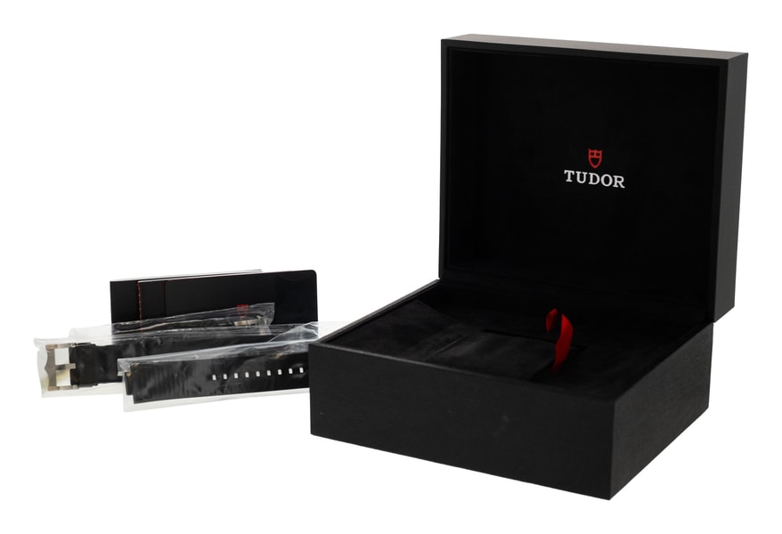 Tudor Pelagos M25610TNL-0001